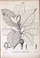  no thumbnail available