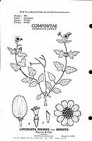  no thumbnail available