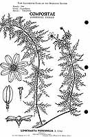  no thumbnail available