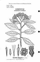  no thumbnail available