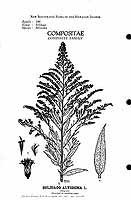  no thumbnail available