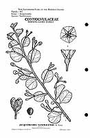  no thumbnail available