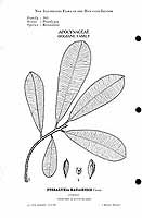  no thumbnail available