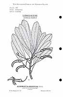  no thumbnail available