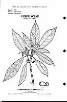  no thumbnail available