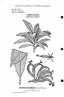  no thumbnail available