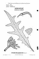  no thumbnail available