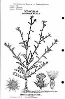  no thumbnail available