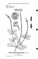  no thumbnail available