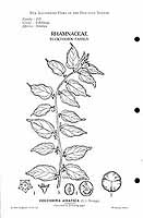  no thumbnail available