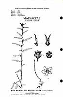  no thumbnail available