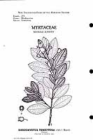  no thumbnail available