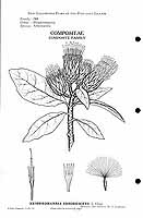  no thumbnail available