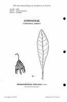  no thumbnail available