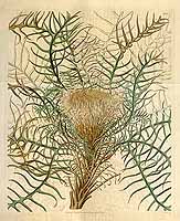  no thumbnail available