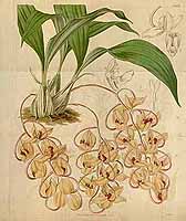  no thumbnail available