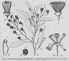  no thumbnail available