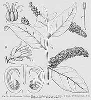  no thumbnail available