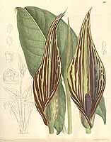  no thumbnail available