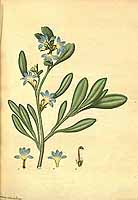  no thumbnail available