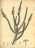  no thumbnail available