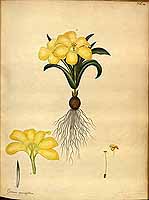  no thumbnail available