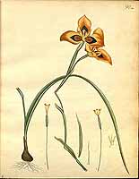  no thumbnail available