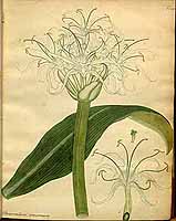  no thumbnail available