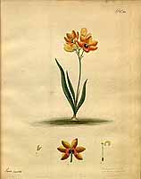  no thumbnail available