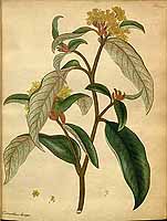  no thumbnail available