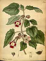  no thumbnail available