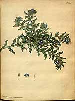  no thumbnail available