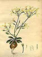  no thumbnail available