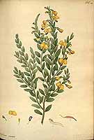  no thumbnail available