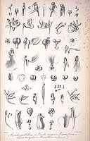  no thumbnail available