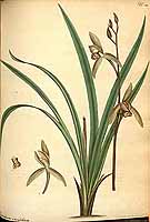  no thumbnail available