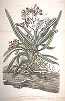  no thumbnail available