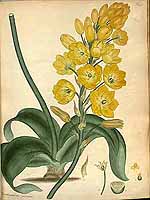  no thumbnail available