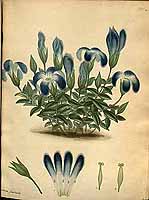  no thumbnail available