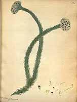  no thumbnail available