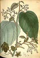  no thumbnail available