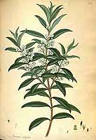  no thumbnail available