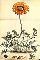  no thumbnail available