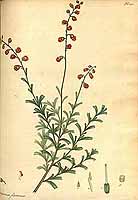  no thumbnail available