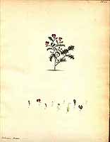  no thumbnail available