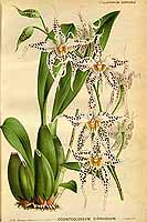  no thumbnail available