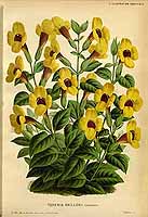  no thumbnail available