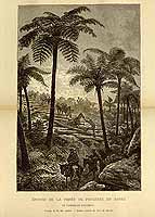  no thumbnail available