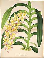  no thumbnail available