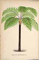  no thumbnail available